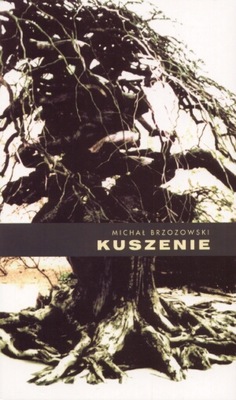 Kuszenie - Michał Brzozowski