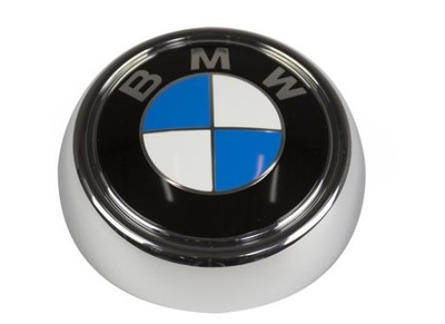 Emblemat tylnej klapy BMW X6 E71 Oryginał