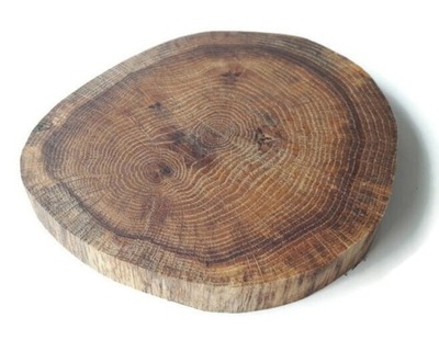 Dąb olejowany 20-23cm Plaster drewna krążki dębowe