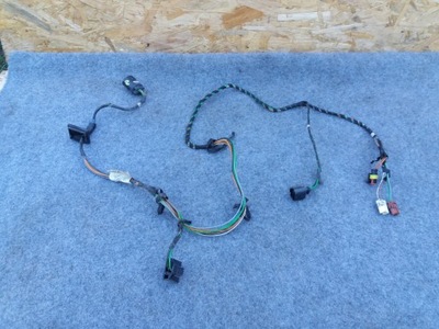 Джгут двері права smart fortwo i 98-03 фото №1