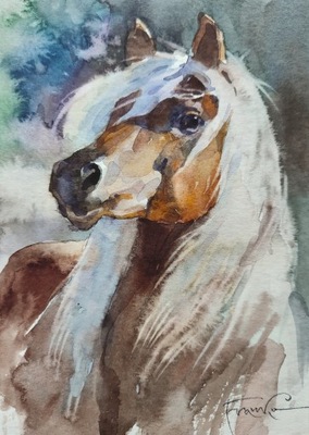 "Koń", akwarela Aleksander Franko