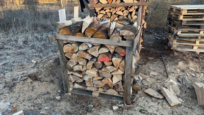 Drewno kominkowe brzoza