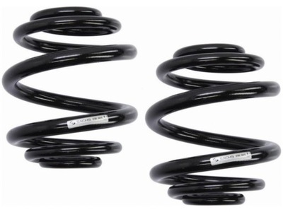 Пружини задня sachs 996 965 фото №1