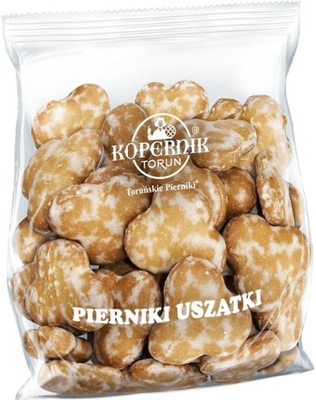 Pierniki w lukrze Kopernik 170 g