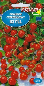 NASIONA Pomidor IDYLL odmiana amatorska