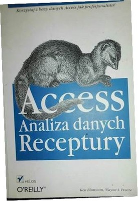 Access analiza danych receptury - Ken Bluttman