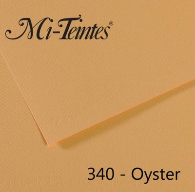 Karton Canson Mi-teintes A4 160g 50ark 340-oyster (200321657)