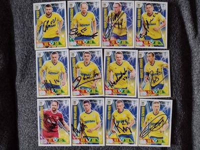 Karty panini autografy Arka Gdynia sezon 17/18