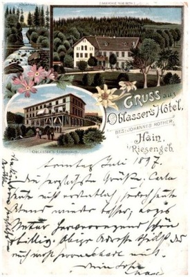 Hain, i/Riesengeb. Gruss aus Oblasser's Hotel, Bes: Johannes Rother, 189-