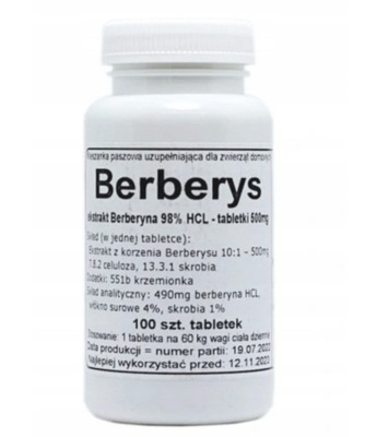 Berberys ekstrakt Berberyna 98% HCL 500mg 100 szt