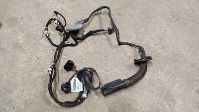 Audi q5 08- джгут електропроводка двері ліва задня задня 8r0971687ab фото №1