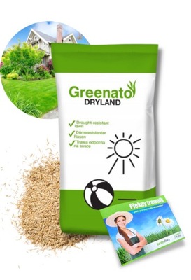 Trawa Odporna na GLEBY SUCHE Greenato Dryland 5kg