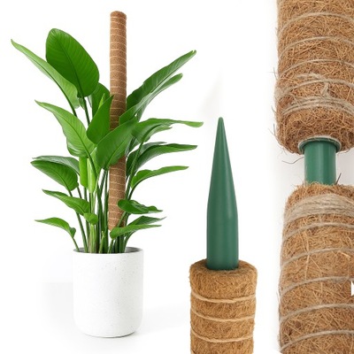 PODPORA DO ROŚLIN 102CM TYCZKA PAŁKA Z WŁÓKNA KOKOSOWEGO PALIK KOKOSOWY