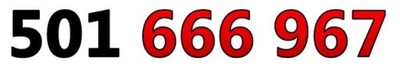 501 666 967 ZŁOTY NUMER STARTER ORANGE ŁATWY
