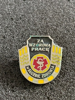 ZA WZOROWĄ PRACĘ W SŁUŻBIE ZDROWIA