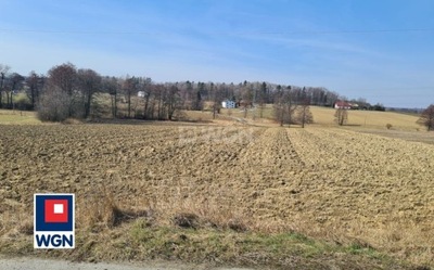 Działka, Simoradz, Dębowiec (gm.), 4400 m²