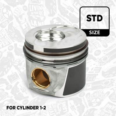 Et engineteam pm003200 поршень фото №1