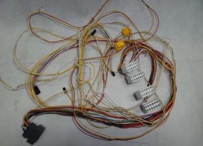 Жгут электропроводка верхней полка daf xf 105 ssc фото №1