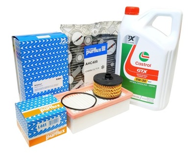Набір фільтрів purflux + castrol 5w30 gtx rn17 - renault arkana 1.3 tce фото №1