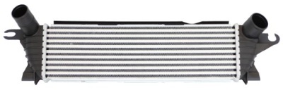 Интеркулер renault kangoo 03-08 2141000q0c фото №1