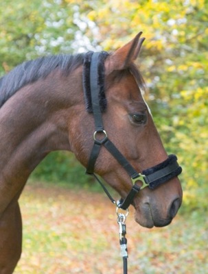Kantar ze sztucznym futrem czarny Covalliero Pony