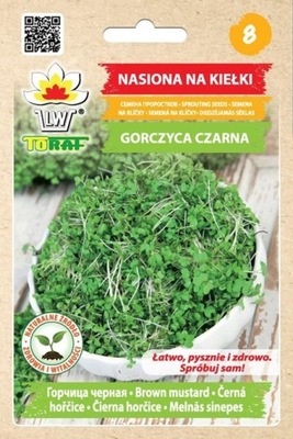 GORCZYCA CZARNA - nasiona na kiełki (TORAF)