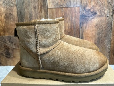 buty damskie UGG 38