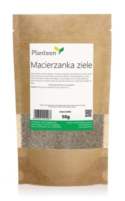 Macierzanka ziele 10kg