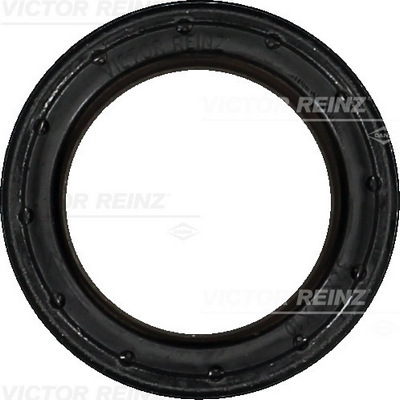 RING SEALING SHAFT SHAFT REINZ 81-40538-00  