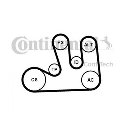 CONTITECH JUEGO CORREA MICRO-V 5PK1750K1  