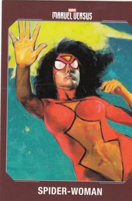 MARVEL VERSUS Character Card SPIDER-WOMAN 66 WADA