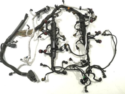 Електропроводка двигуна maserati quattroporte 3.8 gts фото №1