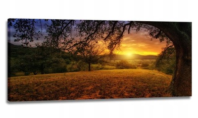 OBRAZ 170x70 KRAJOBRAZ WIDOK