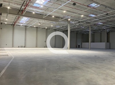 Magazyny i hale, Gdańsk, 8000 m²