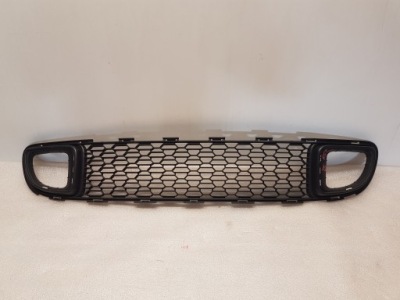 GRILLE PARE-CHOCS AVANT MINI R55 R56 R57 LCI R58 R59 AVEC 7255112 
