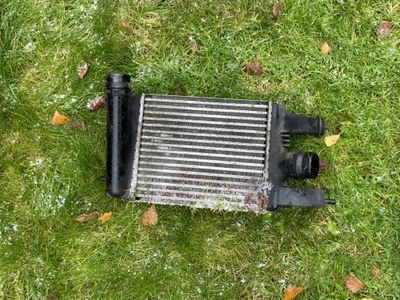 NISSAN PULSAR C13 1.2DIG-T INTERCOOLER AUŠINTUVAS ORO 