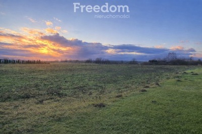 Działka, Rudzienice, Iława, Iławski, 1562 m²