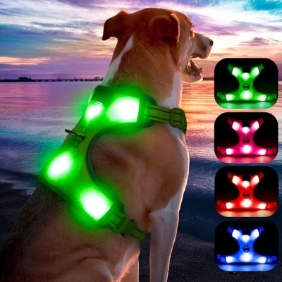 Świecące szelki dla psów, ładowane przez USB,