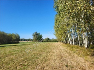 Działka, Skruda, Mrozy (gm.), 1083 m²