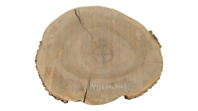 Plaster Drewna Jesion 84x70x9cm Duże Rozmiary