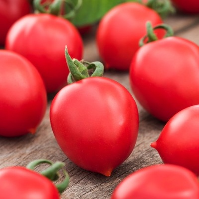 Pomidor Karłowy Mieszko F1 śr póżny nasiona pomidory pomidora warzyw