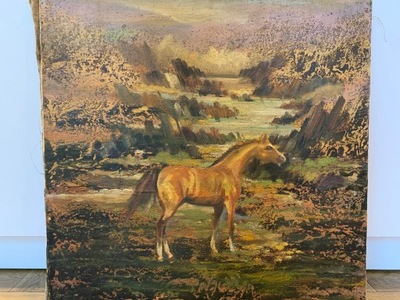 Obraz olejny "Koń na polanie" Marian Osiecki