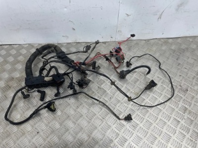 Джгут двигуна bmw 3 e46 758003 фото №1