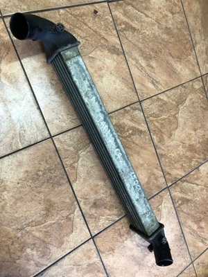 Thalia 1.5dci 07' інтеркулер фото №1