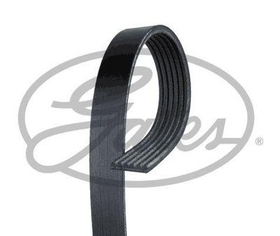 GATES 6PK925 BELT WEDGE MULTI-RIBBED  