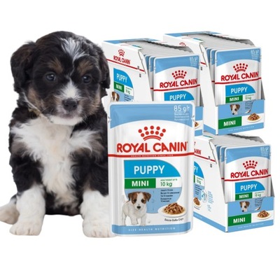 Royal Canin Mini Puppy 36x85g