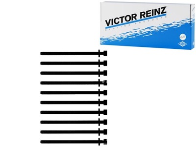 Victor reinz 14-11654-01 набор винт головки цилиндров фото №1