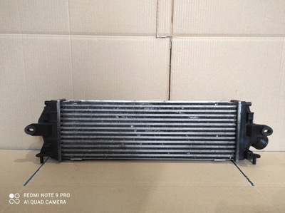 Інтеркулер 8200411160 nissan primastar 2.0 dci фото №1
