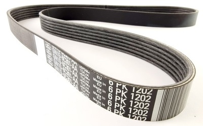 Ремень приводной ford focus 18- ka 16- gn1g-6c301-aa фото №1