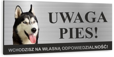 Tabliczka UWAGA ZŁY PIES HUSKY SYBERYJSKI SYBERIAN